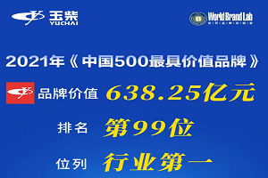 連續(xù)16年領(lǐng)跑內(nèi)燃機(jī)行業(yè) 玉柴品牌價(jià)值突破638億元