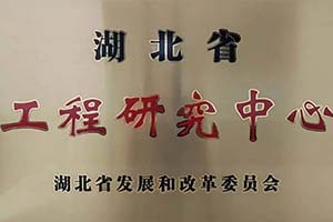 湖北省唯一企業(yè) “車橋技術(shù)湖北省工程研究中心”落戶東風(fēng)德納