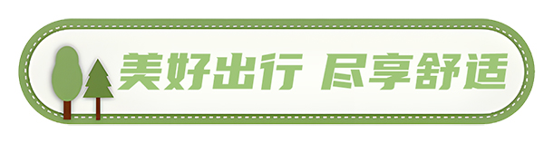 安凱客車 安凱N8 高品質(zhì)春游