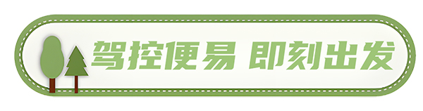 安凱客車 安凱N8 高品質(zhì)春游