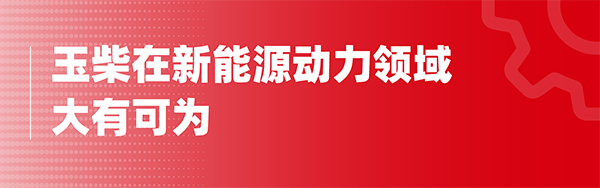 玉柴集團(tuán) 玉柴興順達(dá) 燃料電池 系統(tǒng)公告