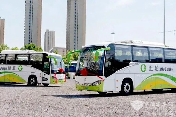 蘇州金龍 新研氫能 燃料電池 大客車