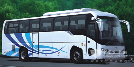 NJL6118BEV車型