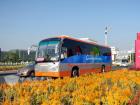 鮮花、笑臉、靚車(chē)相映成景