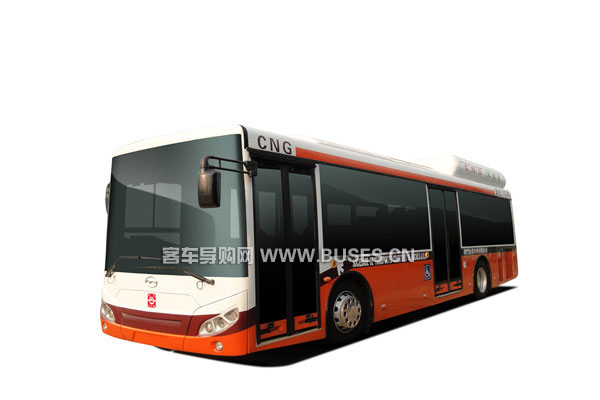 五洲龍F(tuán)DG6101NG5公交車（天然氣國五10-40座）