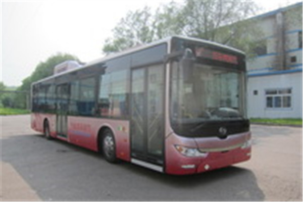 黃海DD6129CHEV8N公交車(chē)（NG/電混動(dòng)國(guó)五18-42座）