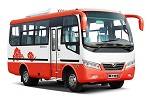 東風(fēng)超龍EQ6608LTV1客車（柴油國(guó)五10-19座）