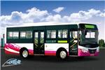 友誼ZGT6810NV公交車(chē)（天然氣國(guó)五15-30座）