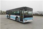 亞星JS6108GHBEV7公交車（純電動10-42座）