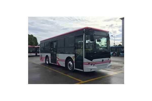 申龍SLK6859ULE0BEVS公交車(chē)（純電動(dòng)10-29座）