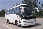 金龍XMQ6859AYN5C客車(chē)（天然氣國(guó)五24-37座）