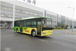 亞星JS6101GHBEV17公交車（純電動12-36座）