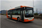 中車時代電動TEG6106BEV19公交車（純電動10-36座）