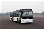 中車時代電動TEG6106BEV16公交車（純電動10-36座）