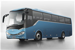 中車(chē)電動(dòng)TEG6110EV08客車(chē)（純電動(dòng)24-48座）