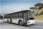 亞星JS6108GHBEV21公交車(chē)（純電動(dòng)18-41座）