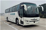 東風(fēng)旅行車DFA6118LBEV客車（純電動24-50座）