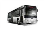 中車電動TEG6105BEV05公交車（純電動20-39座）