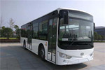 安凱HFF6100G03CHEV26插電式公交車（NG/電混動(dòng)國五18-36座）