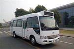 安凱HFF6701GDE5FB公交車(chē)（柴油國(guó)五10-23座）