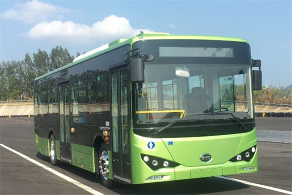 比亞迪BYD6101LGEV12公交車（純電動(dòng)20-39座）