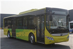 宇通ZK6105BEVG61公交車（純電動20-39座）