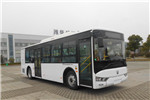 亞星JS6101GHBEV28公交車（純電動16-33座）