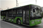 蜀都CDK6126CBEV1公交車（純電動22-45座）