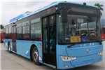 金龍XMQ6127AGBEVL10公交車（純電動21-46座）