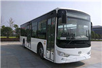 安凱HFF6100G03CHEV24插電式公交車（天然氣/電混動(dòng)國五18-36座）