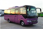 少林SLG6780C5E客車(chē)（柴油國(guó)五24-32座）