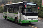 少林SLG6660EVG7公交車（純電動(dòng)10-22座）