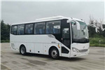 海格KLQ6829KAE60客車（柴油國六24-36座）