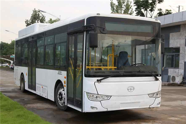 武漢WH6102GBEV1公交車(chē)（純電動(dòng)19-40座）