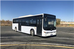 黃海DD6109EV17公交車(chē)（純電動(dòng)19-41座）