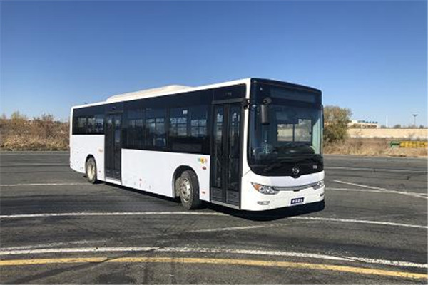 黃海DD6109EV17公交車（純電動19-41座）