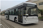 中興GTZ6129BEVB1公交車（純電動(dòng)25-45座）