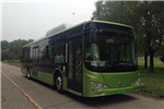 天津比亞迪TJK6124BEV公交車（純電動(dòng)28-42座）