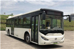 通工TG6101GBEV3公交車（純電動(dòng)23-42座）