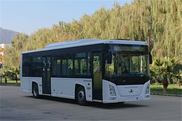 五龍FDE6101PBABEV01低入口公交車（純電動17-36座）