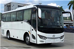 金龍XMQ6885AYD6D客車（柴油國六24-40座）