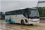 中車(chē)時(shí)代TEG6110BEV10公交車(chē)（純電動(dòng)24-48座）